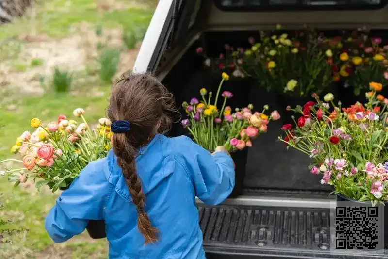 香港專業有限公司