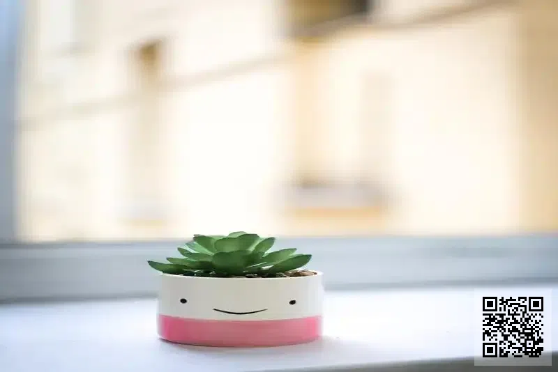 EUREKA TRADERS TRADE LIMITED