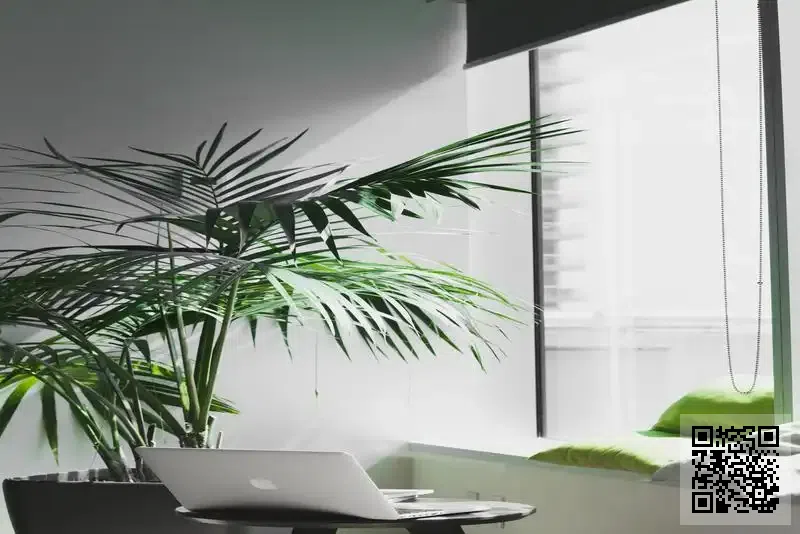 紫栢發展有限公司