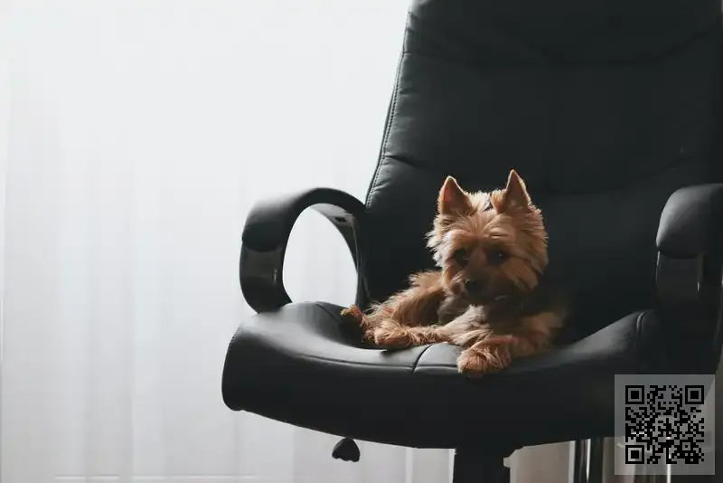 利盈集團(香港)有限公司