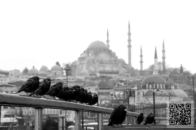 悅如貿易有限公司