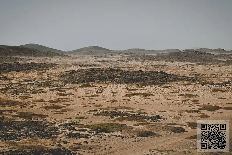 香港正躍電子科技有限公司