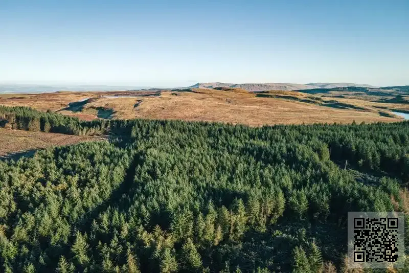 非凡(電子商務)有限公司