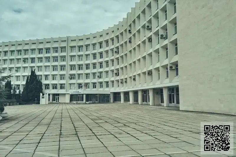 香港金野電子有限公司