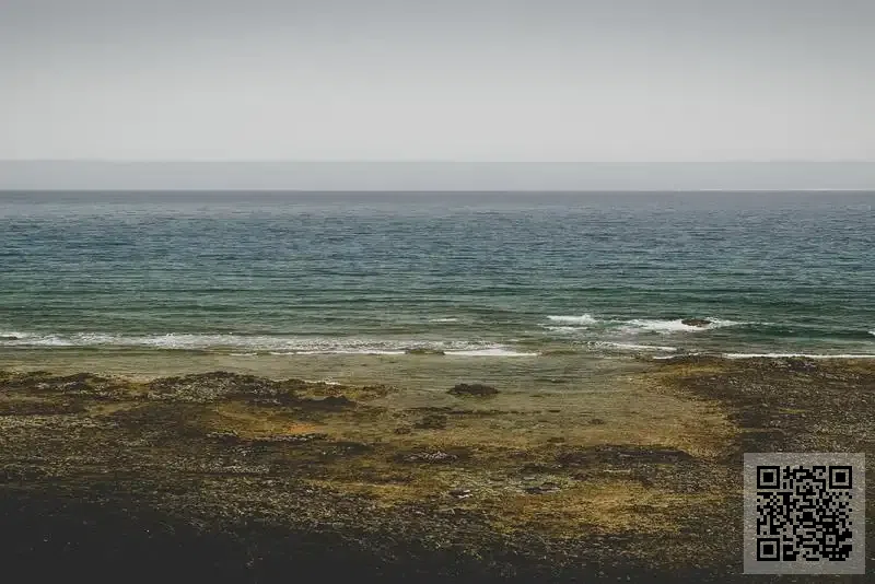 香港朗泰貿易有限公司