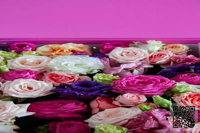 SUPREMO CELLARS LIMITED