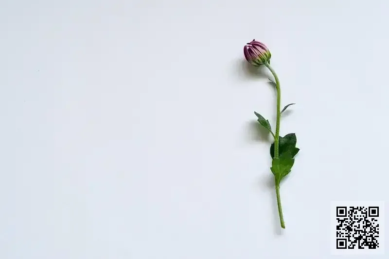 光大永年投資有限公司