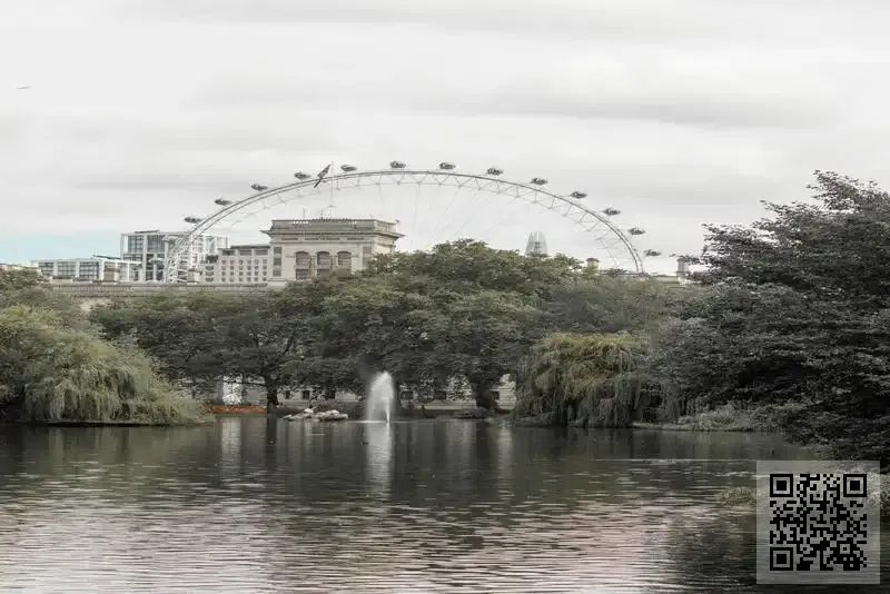 元極傳媒(香港)文化有限公司