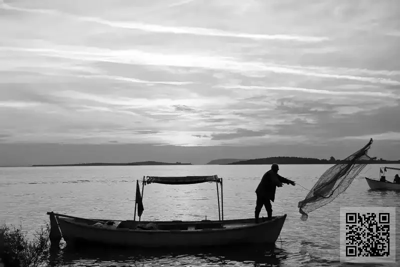 香港輝星有限公司