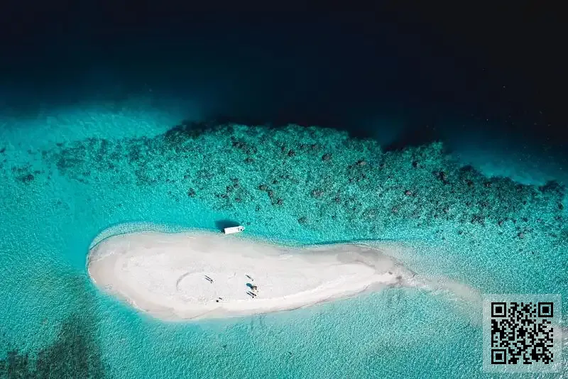 唯萊國際有限公司