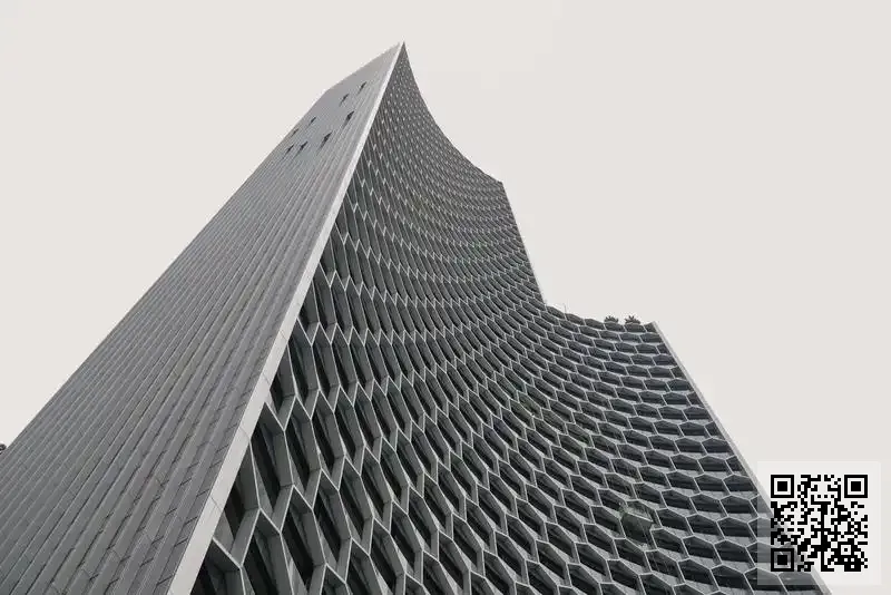 帝丹龍國際貿易(香港)有限公司