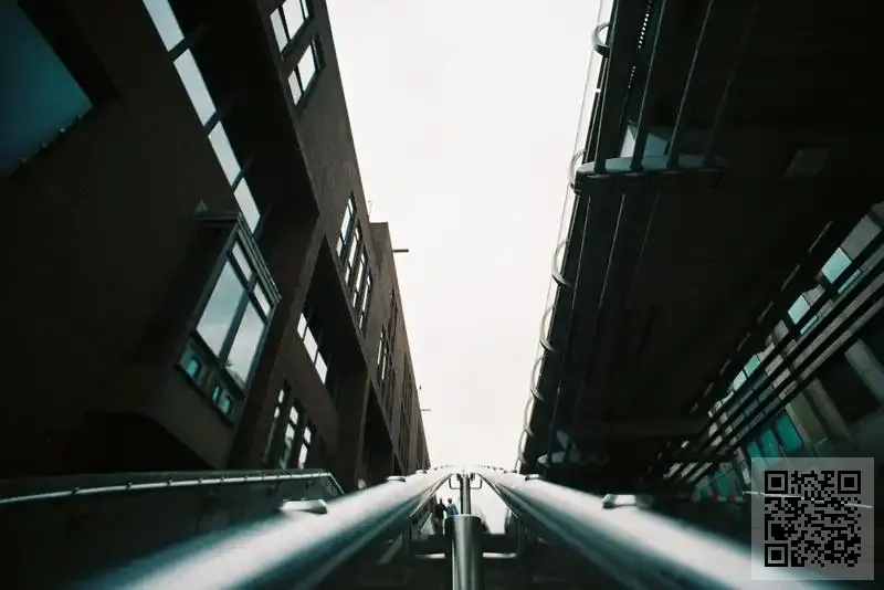 香港林莫集團有限公司