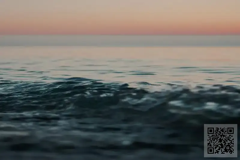 深圳富萊爾貿易有限公司