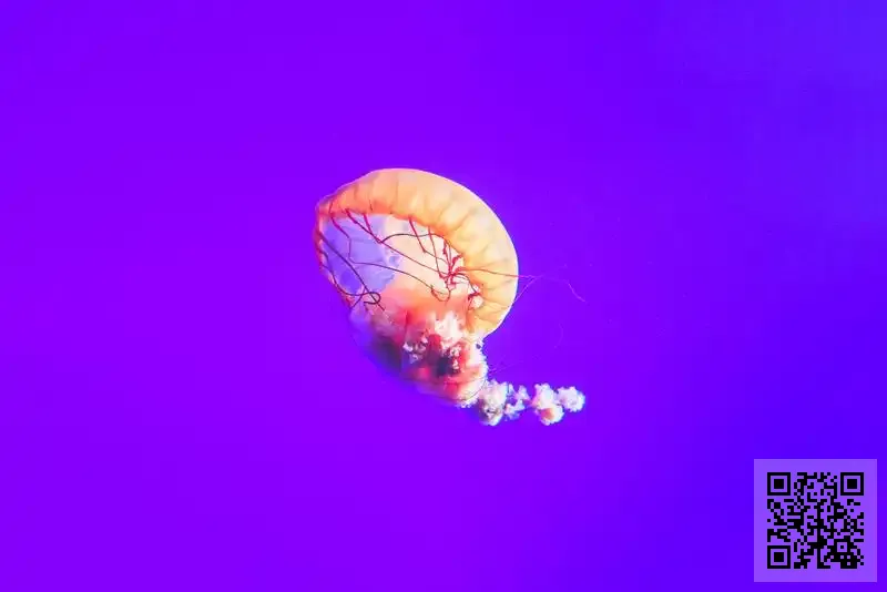 銀地眼鏡有限公司