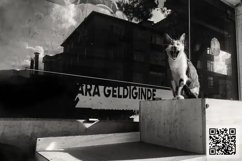 香港相辰國際有限公司