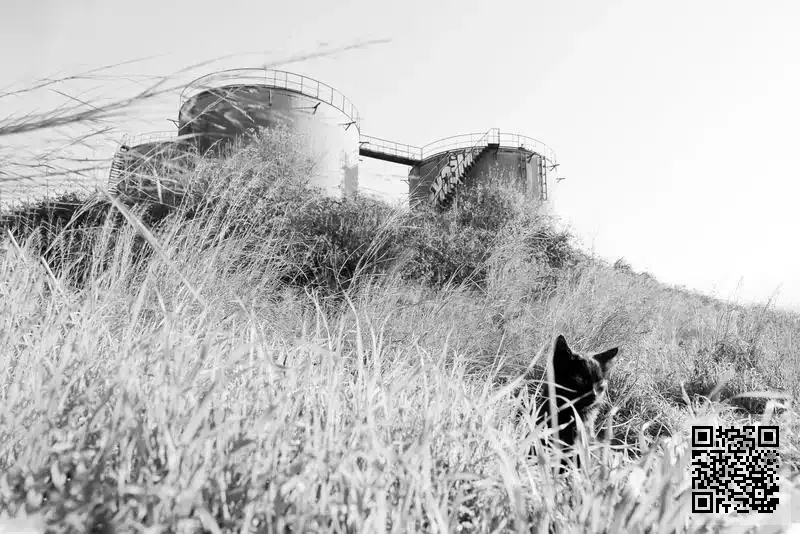 圖工作室有限公司