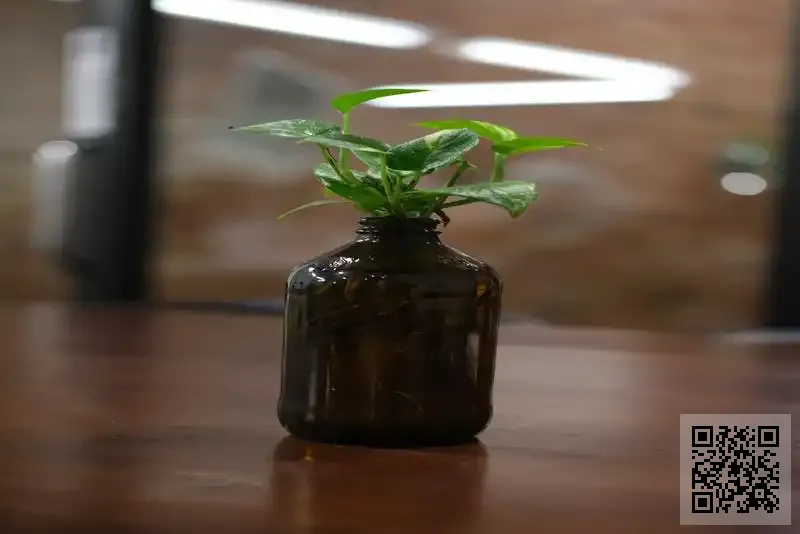 香港美好家影視傳媒有限公司