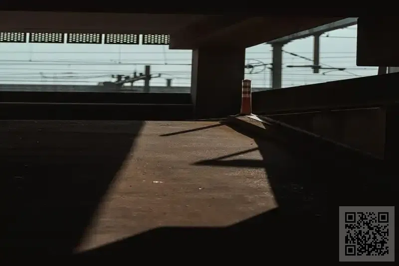 ADX ADVISORS LIMITED