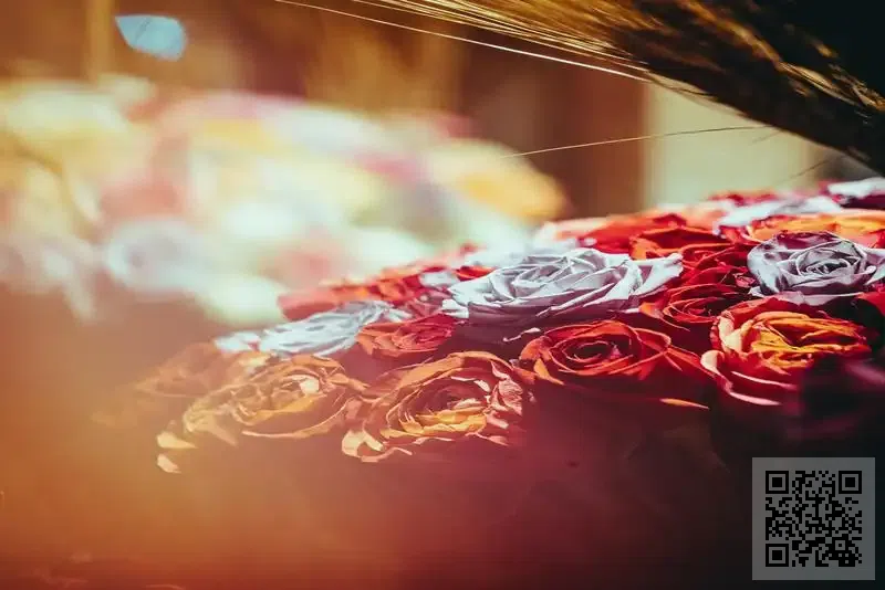 Unity Of Knowledge And Practise Limited