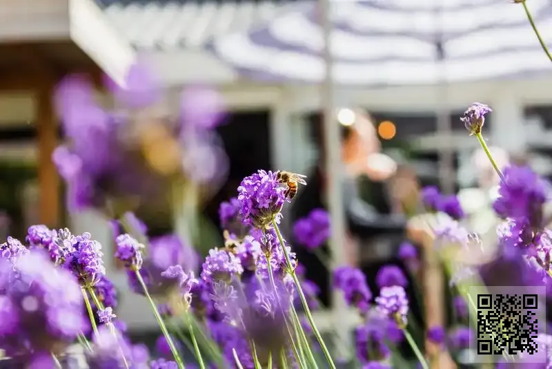 瑞士制美力合生物科技有限公司