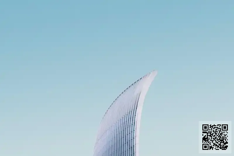 香港網紅國際有限公司