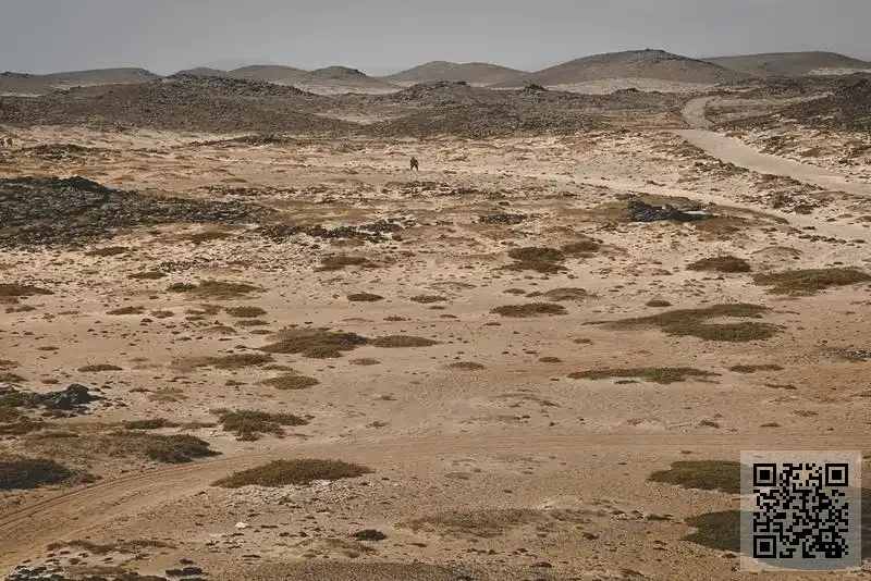 Skelmuir Projects Limited