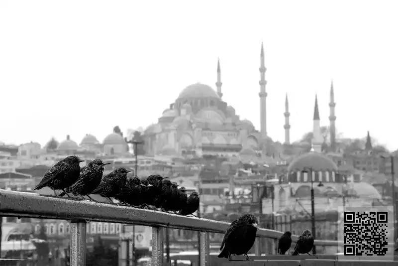 PARKWELL INTERNATIONAL LIMITED