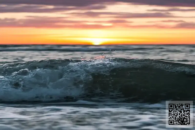 偉榮國際投資有限公司