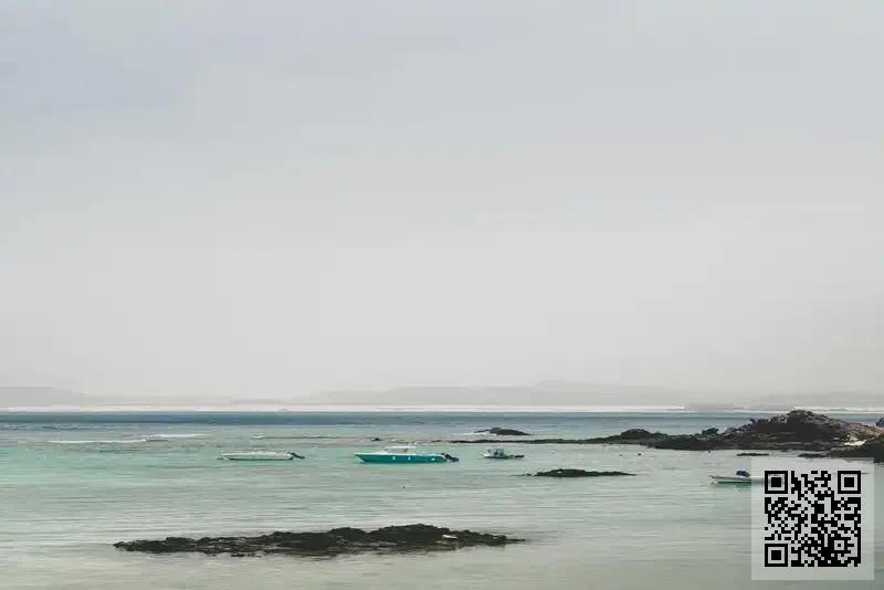 帝國咨詢服務有限公司