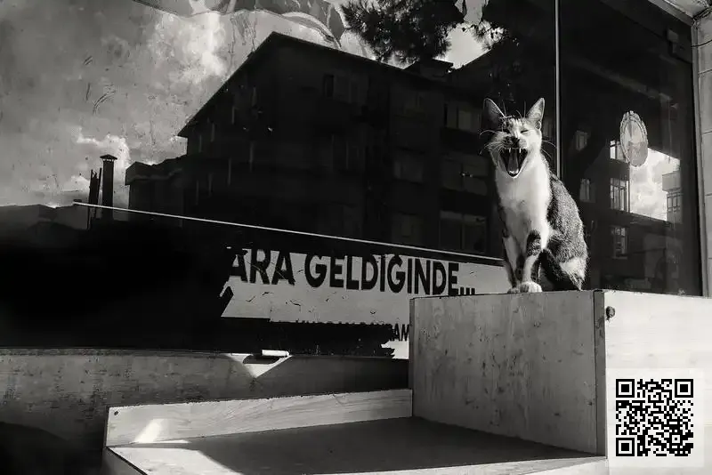 夏科進出口有限公司