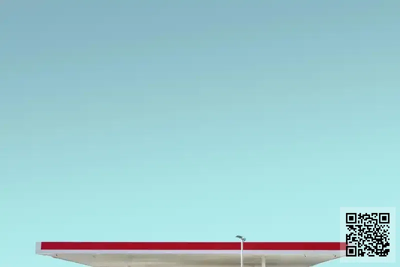 日興(海外)有限公司