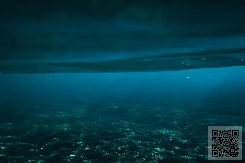 香港幗際站貿易有限公司