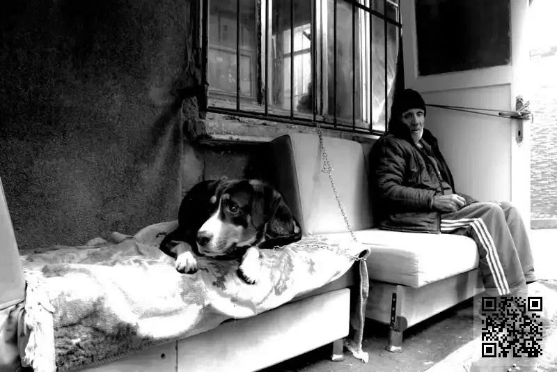 宏運國際貿易香港有限公司