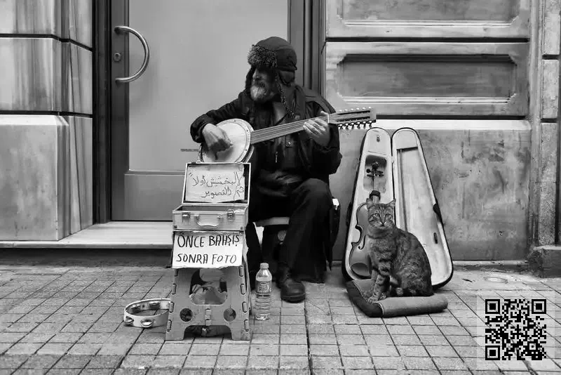 WESTERN PLASTIC ENGINEERING CONSULTANTS LIMITED