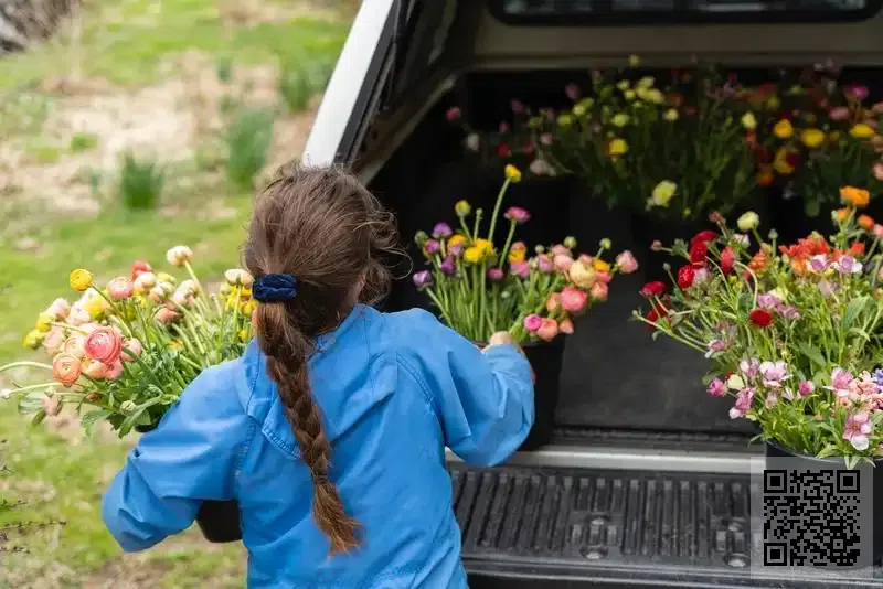 香港金蘋果貿易有限公司