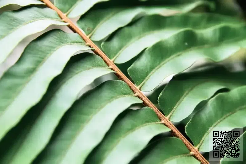 PRIMARK TECHNOLOGY LIMITED