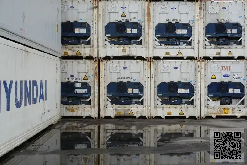 新生能源(香港)集團有限公司