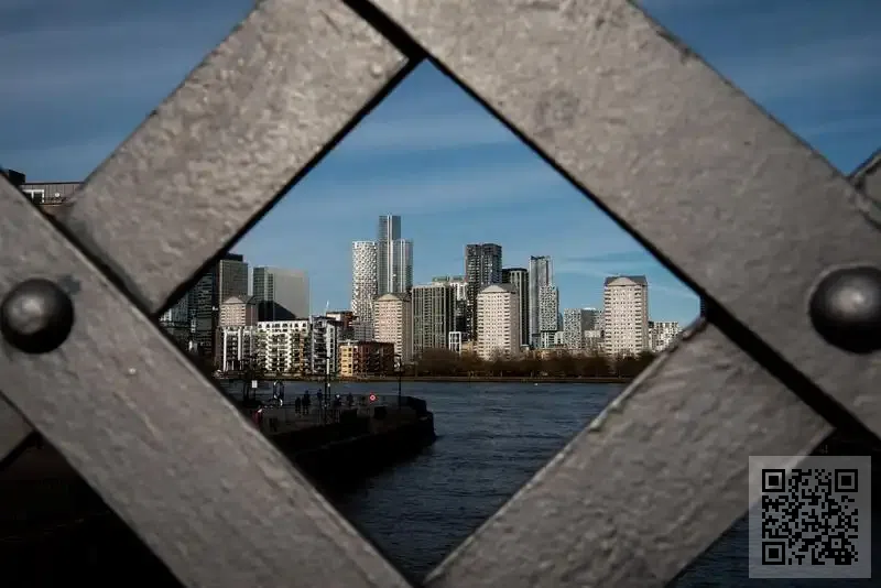 玖瑞(香港)投資管理有限公司