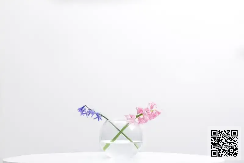 HONGKONG REBORN LIMITED