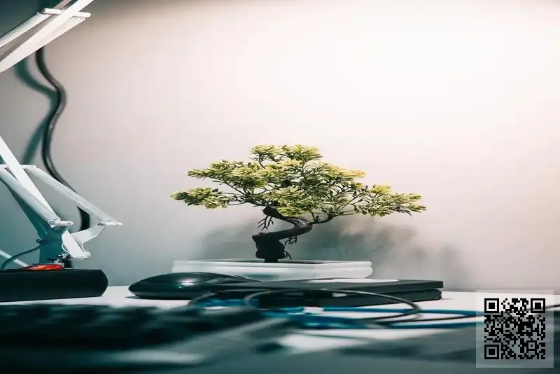 UC SERVICES GROUP LIMITED