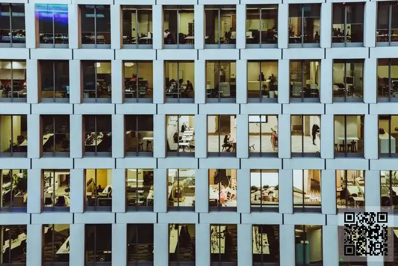 迪飛國際有限公司