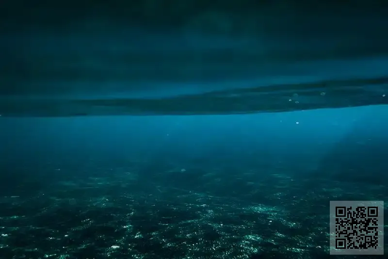 香港好推動有限公司