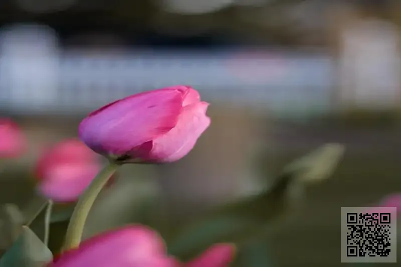 保盈環球貿易有限公司