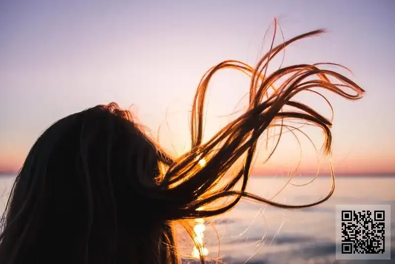 香港愛樂盟扶輪社基金有限公司