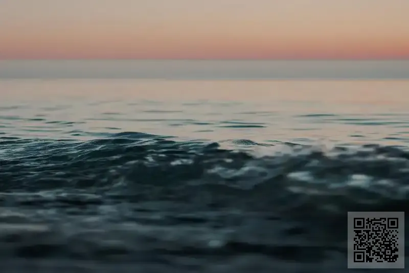 香港貝姆電子有限公司