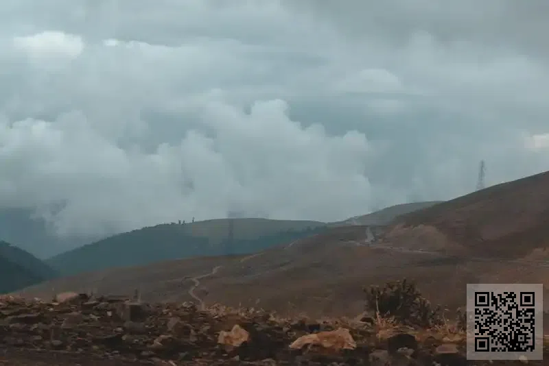 Newtech Alliance Holding Limited