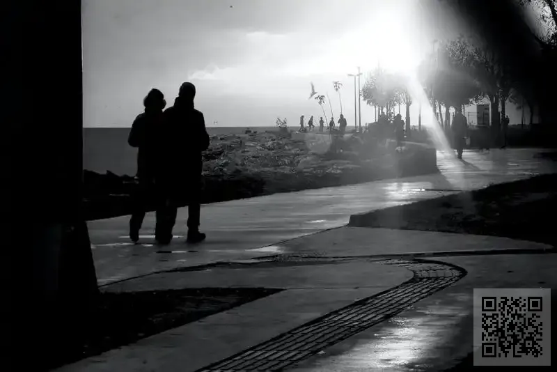 香港環球風水美學協會有限公司