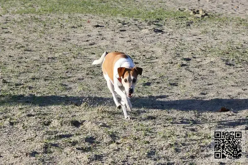 L.R. ALMAZAN LIMITED