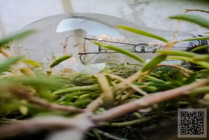 致一模具有限公司