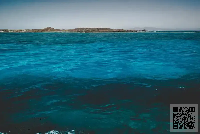 貿訊國際有限公司